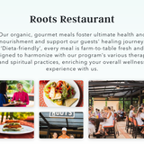 Rythmia: 1 week. Lifelong Change. Luxury Detox & Ayahuasca Retreat