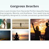 Rythmia: 1 week. Lifelong Change. Luxury Detox & Ayahuasca Retreat