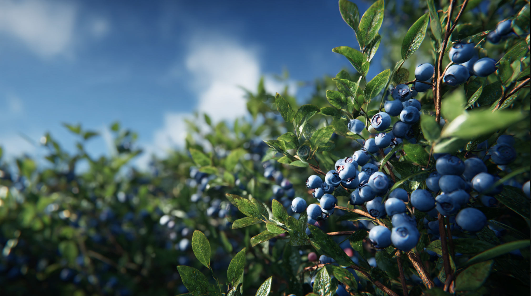 We’ve Normalized Feeling Sick. But It’s Not Normal.